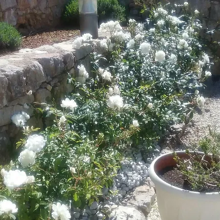 La Bastide Anne Guest house Saint-Tropez