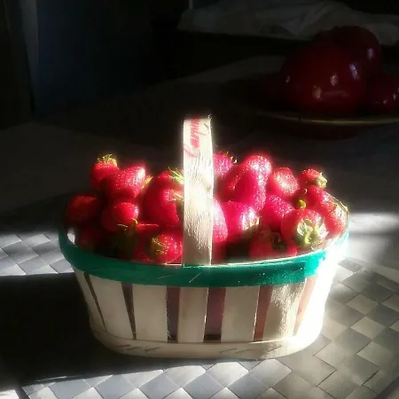 La Bastide Anne Pensjonat *