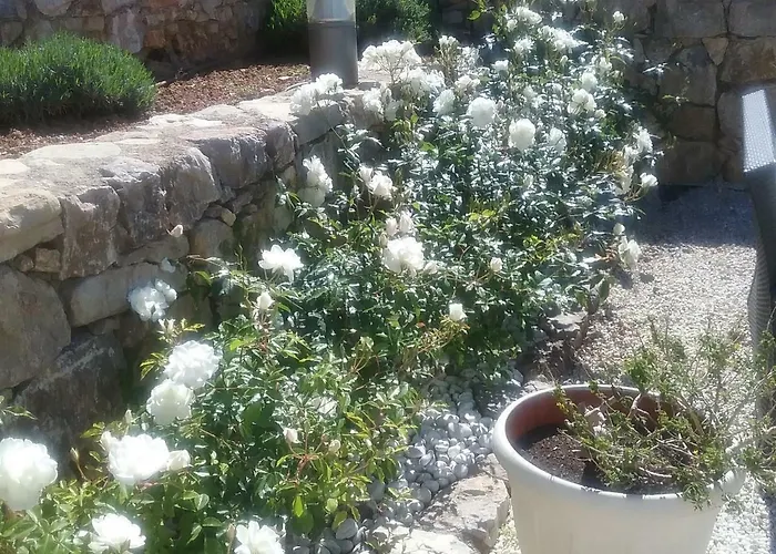 La Bastide Anne Pensionat Saint-Tropez